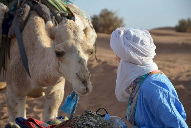 M'Hamid: Overnight in Luxury Desert Camp With Camel Ride, Meals & Sandboarding - Customer Reviews