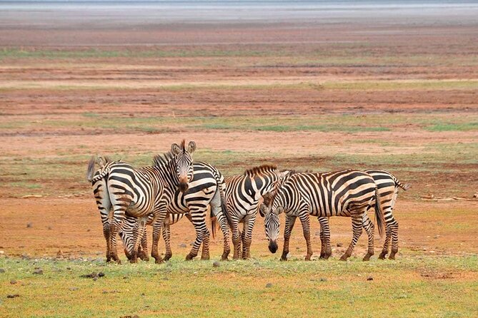 Mikumi National Park 3 Days - The Sum Up