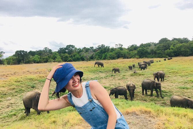 Minneriya National Park Halfday Safari - Reviews and Testimonials