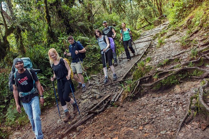 Mount Kilimanjaro 7 Days - Machame Route - Frequently Asked Questions