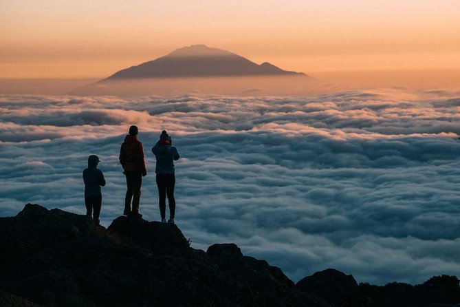 Mount Kilimanjaro Climb, 6 Days Rongai Route - Booking and Cancellation Policy