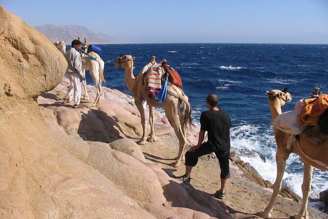 Mount Sinai Climb and St. Catherine Monastery in Sharm El Sheikh - Price and Inclusions
