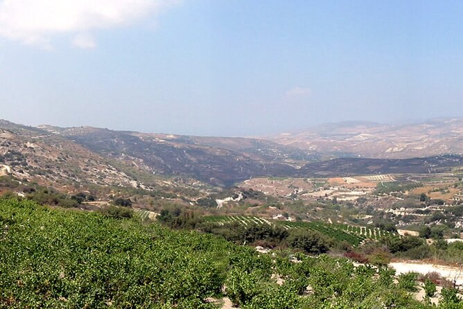 Moussaka Cooking Class at a Wine Village Villa in Paphos - Menu Highlights