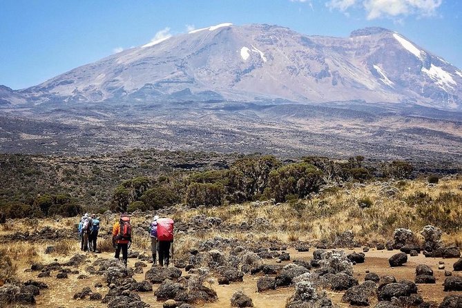 Mt.kilimanjaro Lemosho Route - Reviews and Ratings