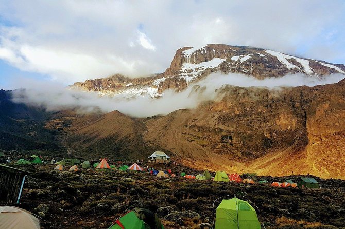 Mt Kilimanjaro Trek, 6 Days - Umbwe Route - Reviews