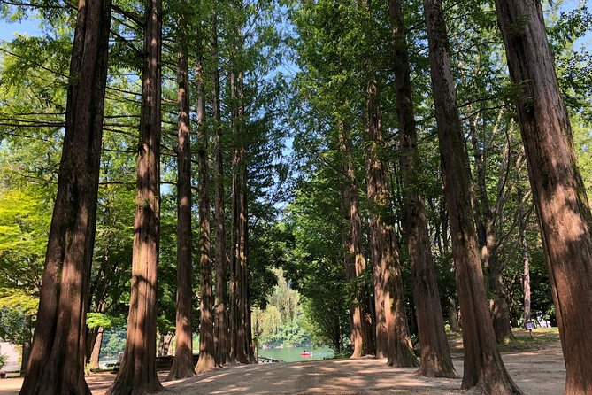 Mt. Seorak+Nami Island+Garden of Morning Calm Day Trip From Seoul - Recommendations