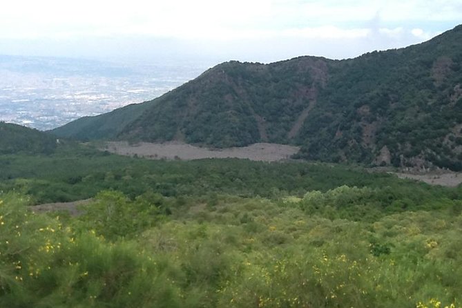 Mt. Vesuvius and the Amalfi Coast(Sorrento-Positano) - Transportation Details