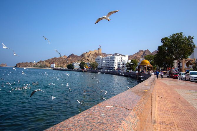 Muscat City Tour Half Day - Private Guided Tour With Omani Guide - Traveler Reviews