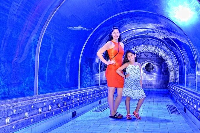 Museum Grand Aquarium From Hurghada - Booking Details