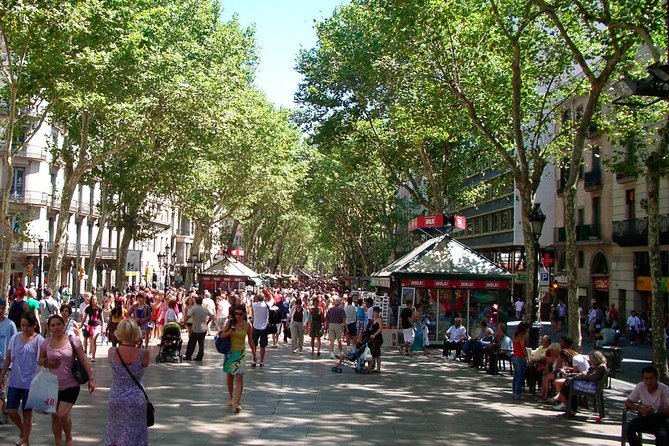 Must-Sees of Barcelona Private Driving Tour - Las Ramblas Experience