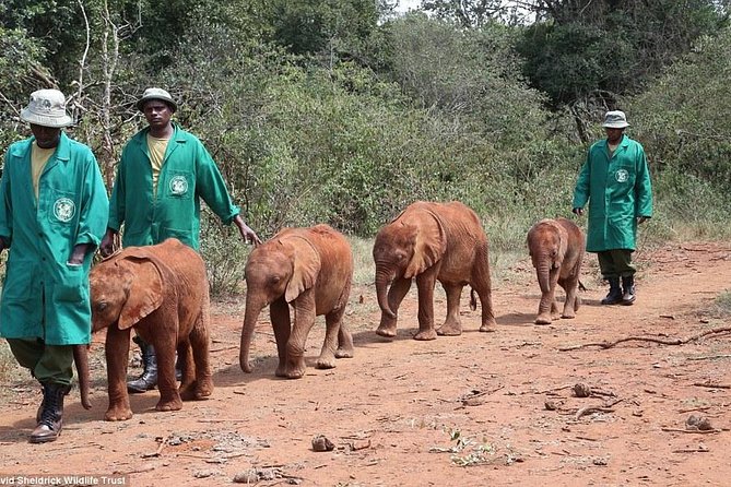Nairobi National Park, Elephant Orphanage, Giraffe Centre,Karen Blixen Day Tour - Tour Logistics