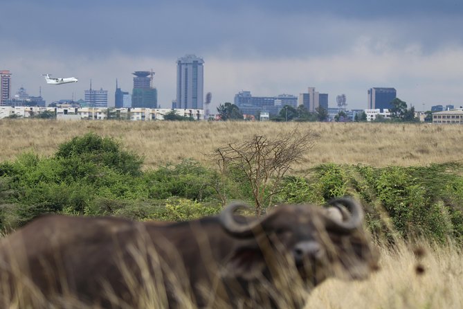Nairobi National Park Guided Tour - Directions