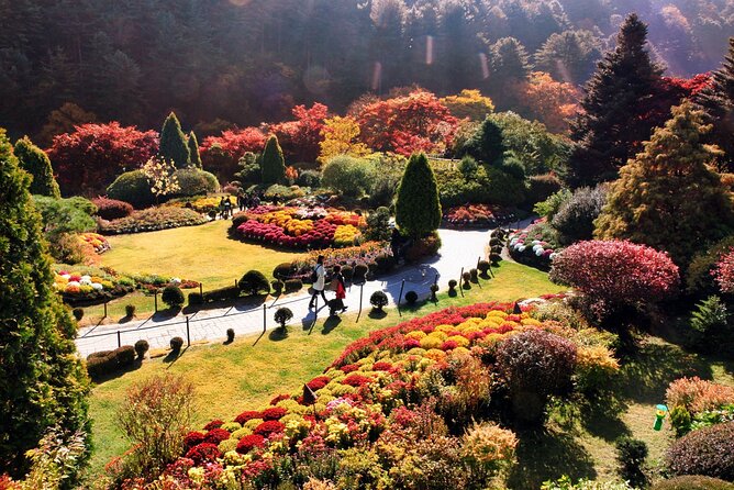 Nami Island & Garden of Morning Calm & Gangchon Railbike Tour - Logistics and Booking Information