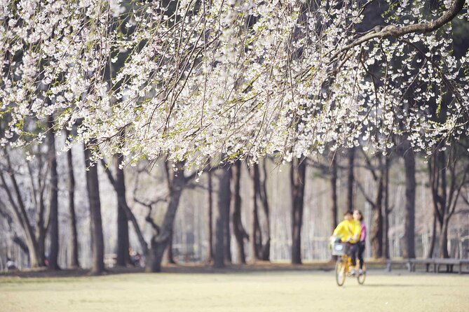 Nami Island & Mount Seorak Day Trip From Seoul - Meeting Points