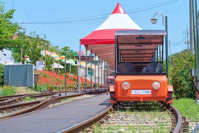 Nami Island Trip With Petite France & Italian Village and Gangchon Rail Bike - Cancellation Policy