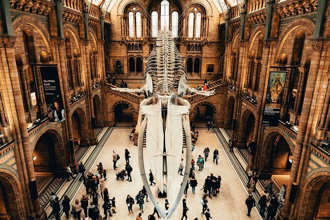 Natural History Museum: Audio Tour With Pre-Booked Free Ticket - Cancellation Policy