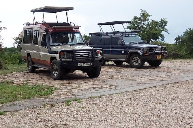 Ngorongoro and Serengeti National Park (3days - Cancellation Policy