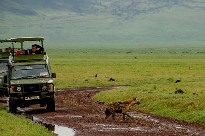 Ngorongoro Crater Day Trip