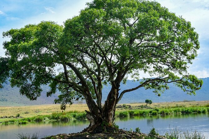 Ngorongoro Crater Day Trip With Pick Up - Cancellation Policy