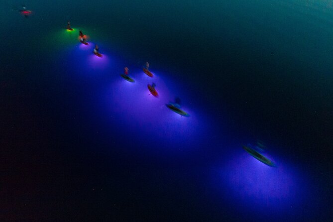 Night Glow SUP Tour - The Sum Up