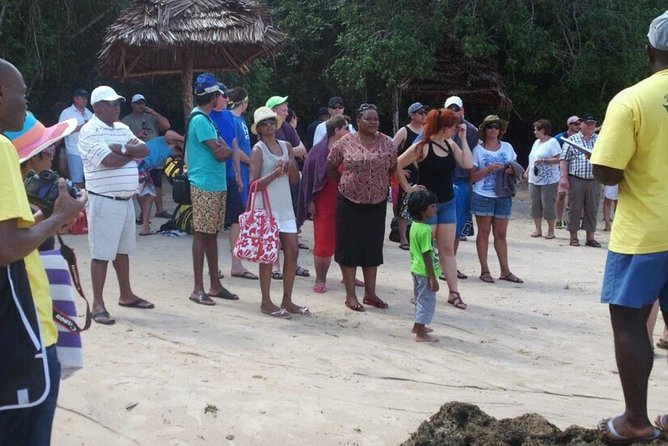 Ocean Safari Tour - Reviews