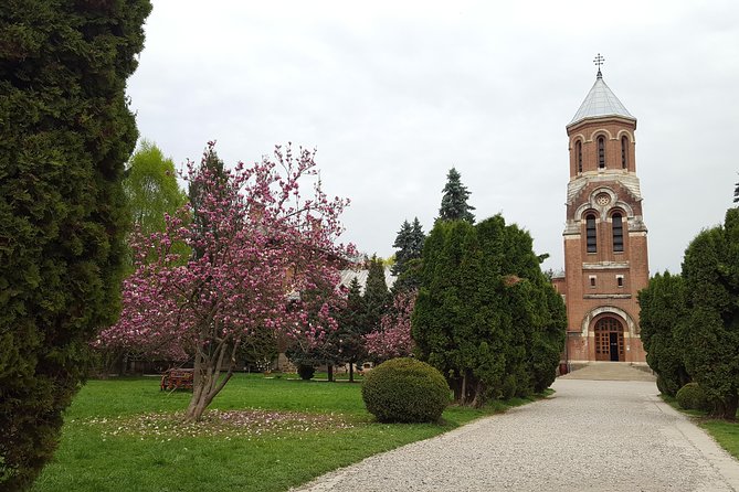 On Dracula Footsteps Full Day Tour Small Group - Customer Reviews