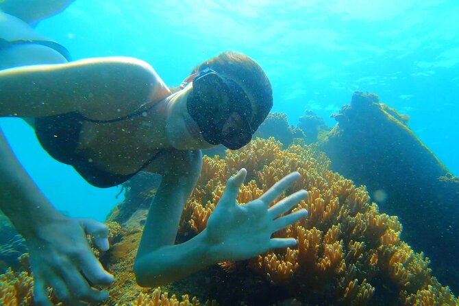Onbird - PRIVATE ADVENTURE SNORKELING - Explore Half-Moon Reef & Coral Mountain - Environmental Conservation