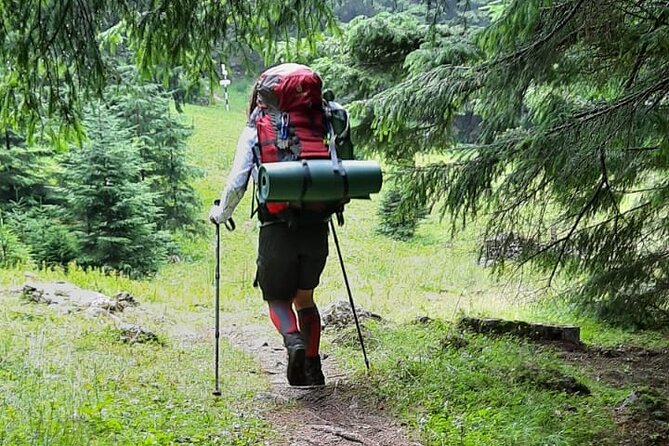 One Day Hiking in Bucegi Natural Park-Private Day Tour From Brasov - Cancellation Policy