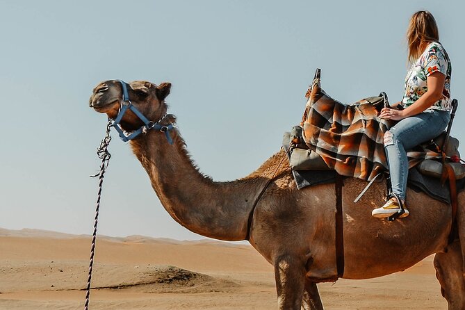 One Hour Camel Riding Adventure With Transfer in Hurghada
