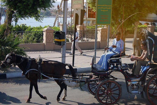 One Hour Private Horse Drawn Carriage Tour in Luxor City - Pricing and Discounts