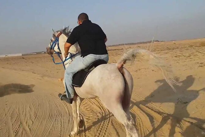 One Hour Relaxation Turkish Bath and One Hour Horse Riding in Sharm El Sheikh - Customer Reviews
