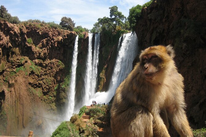 Ourika Valley Day Trip - Transportation Details