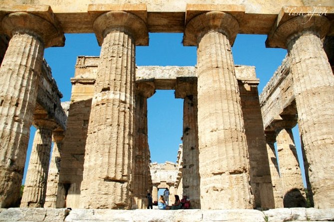 Paestum Greek Ruins Private Tour - Guarantee and Flexibility