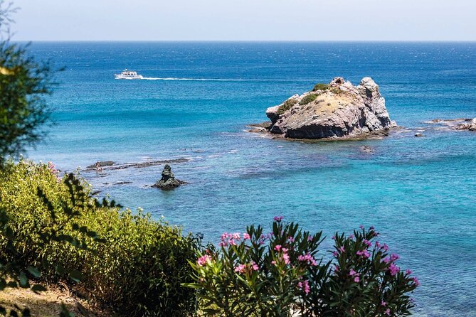 Pafos Zoo Visit & Blue Lagoon Cruise With Local Guide - Paphos - Booking Options