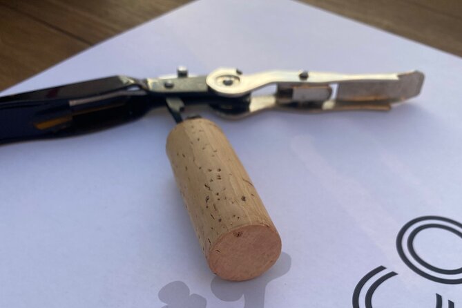 Panoramic Wine Tasting in Oltrepò Pavese - Round Trip Car Transfer Details