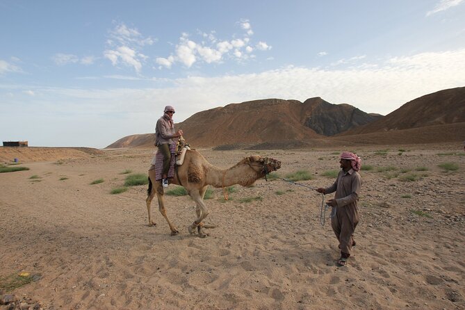 Paradise Valley and Camel Ride and Spa in All-in-One in Agadir - Reviews