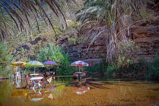 Paradise Valley From Agadir, Small Group Half Day Tour - Reservation Process