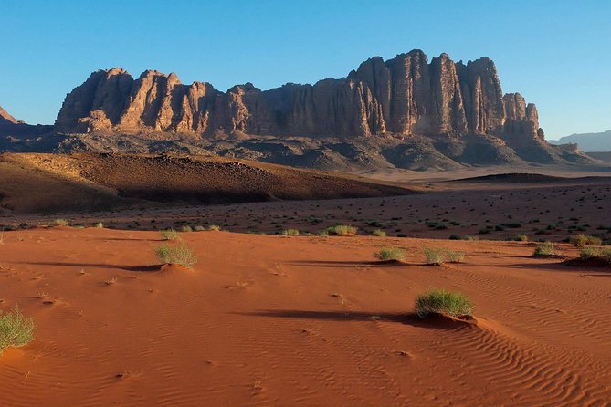 Petra and Wadi Rum 2 Days 1 Night Tour From Eilat Border - Pricing and Booking Information