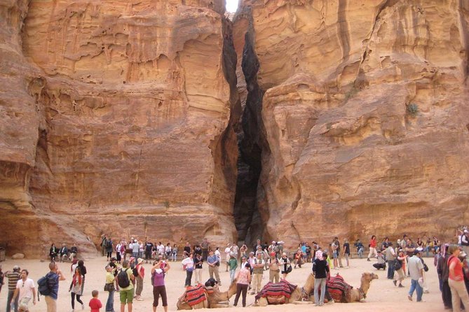 Petra Day Tour- Best of Petra Tour From Amman With Guide and Lunch Included - Tour Itinerary Overview