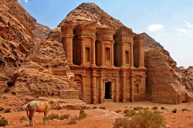 Petra Sightseeing Day Tour From Aqaba Port - Local Guide Experience