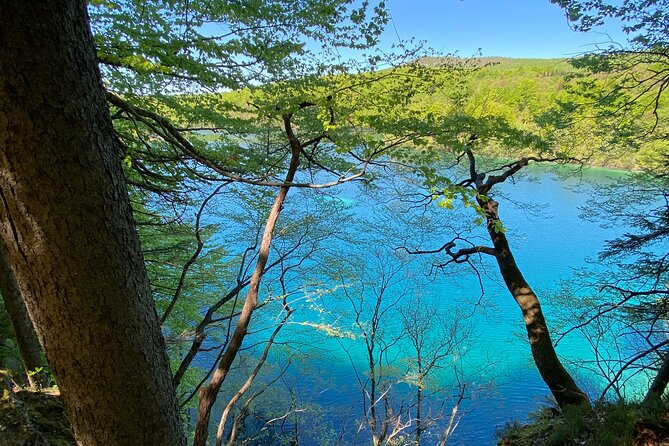 Plitvice Private Tour Driver + Guide up to 8 Ppl From Zadar - Price and Booking Details