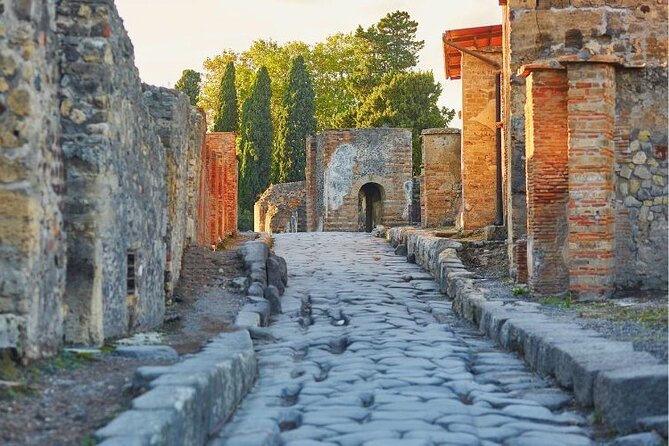 Pompeii & Bosco De Medici Winery Skip the Line From Sorrento - Additional Information