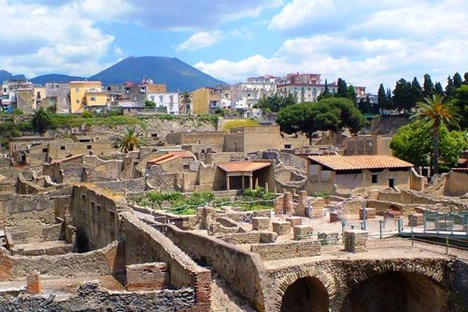 Pompeii Ruins & Hercualenum With Lunch & Wine Tasting From Rome - Important Information