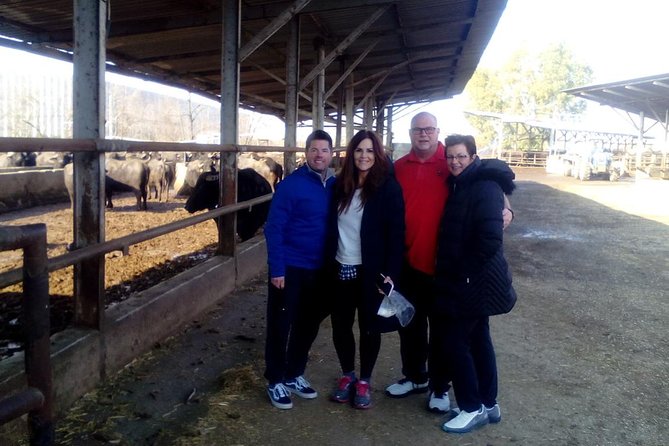 Pompeii Skiptheline and Mt Vesuvius With Lunch&Winetasting From Rome - Additional Booking Information