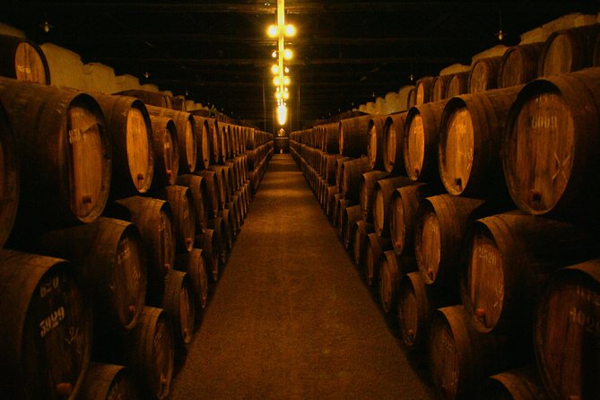 Porto Full Day Private City Tour With Wine Tasting - Wine Tasting Experience