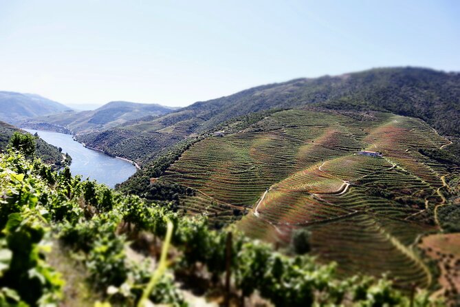 Porto: Private Tour Douro Valley/Winery SECXVIII /Boat/Lunch - Frequently Asked Questions