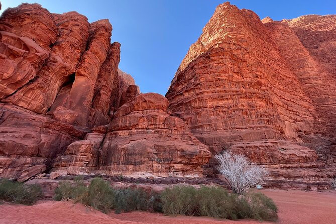 Private 1 Day Wadi Rum Desert Tour - The Sum Up