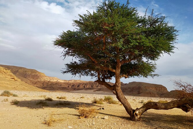 Private 12 Day Discover the Secrets of Sinai Tour - Additional Info