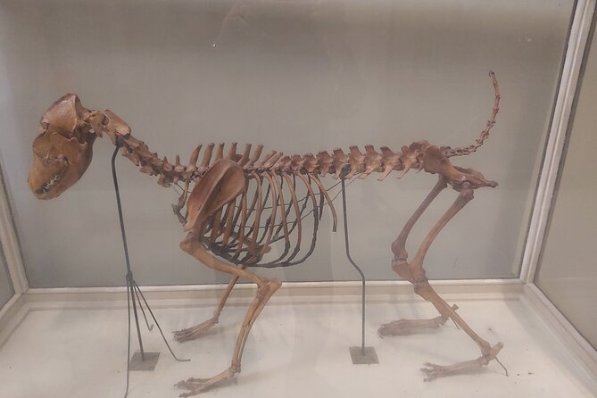 Private 2-Day Tour to Ancient Egyptian Museum & Cairo Tower - Cancellation Policy