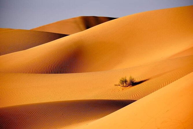 Private 2 Days 1 Night Wahiba Sands Desert and Wadi Bani Khalid Tour - Frequently Asked Questions
